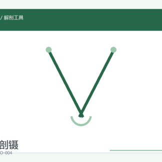 生物解剖镊